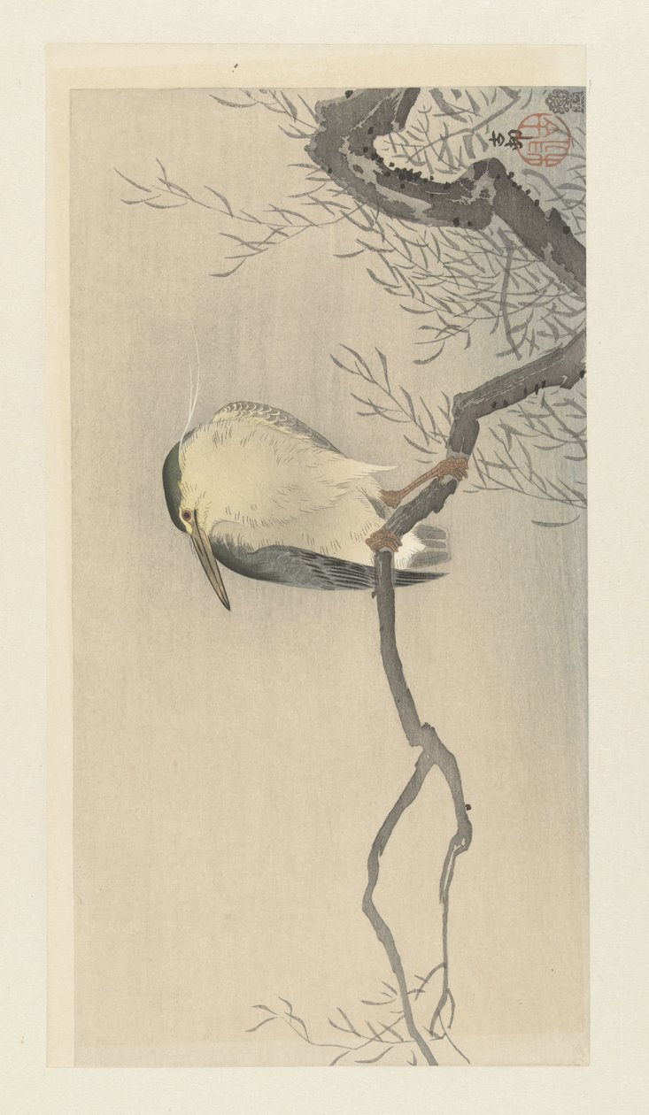 Kwak szeszélyes ágon. alkotó: Ohara Koson