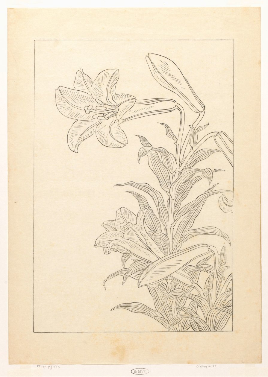 Lelies alkotó: Ohara Koson
