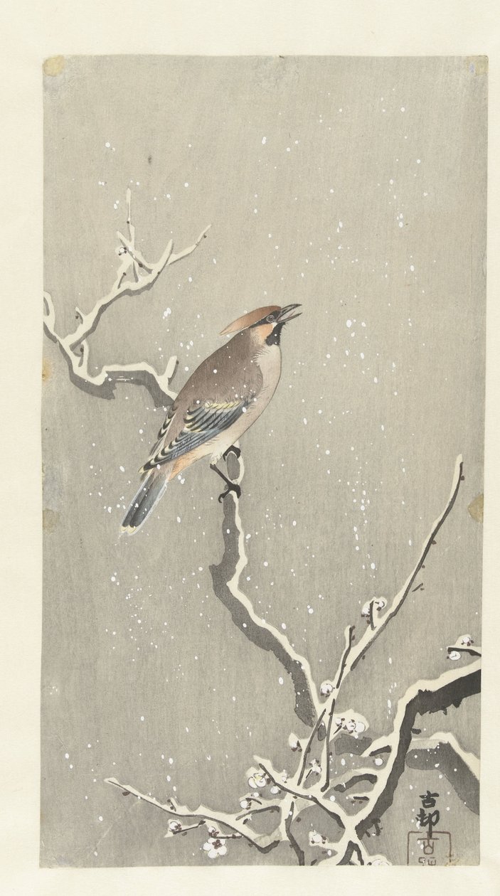Viaszszárny a havas ágon alkotó: Ohara Koson
