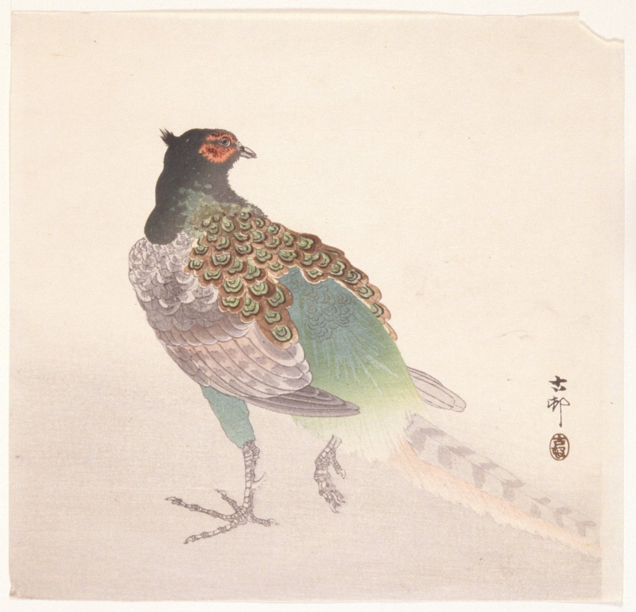 Fácán (színes fatömbnyomat) alkotó: Ohara Koson