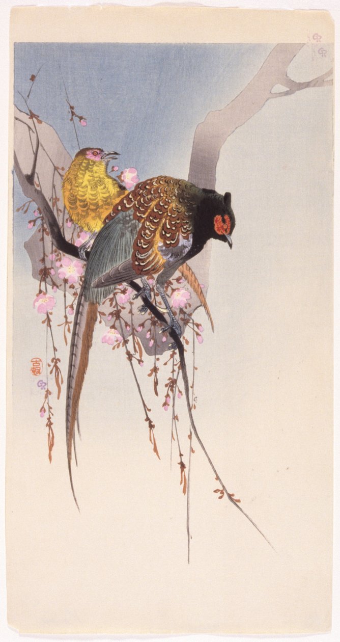 Fácán és függőcseresznye (színes fatömb nyomat) alkotó: Ohara Koson