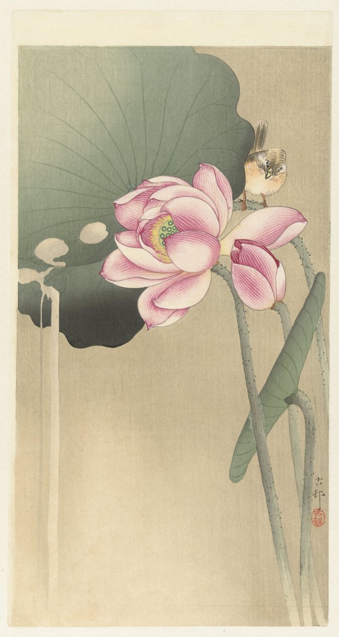 Songbird és Lotus alkotó: Ohara Koson