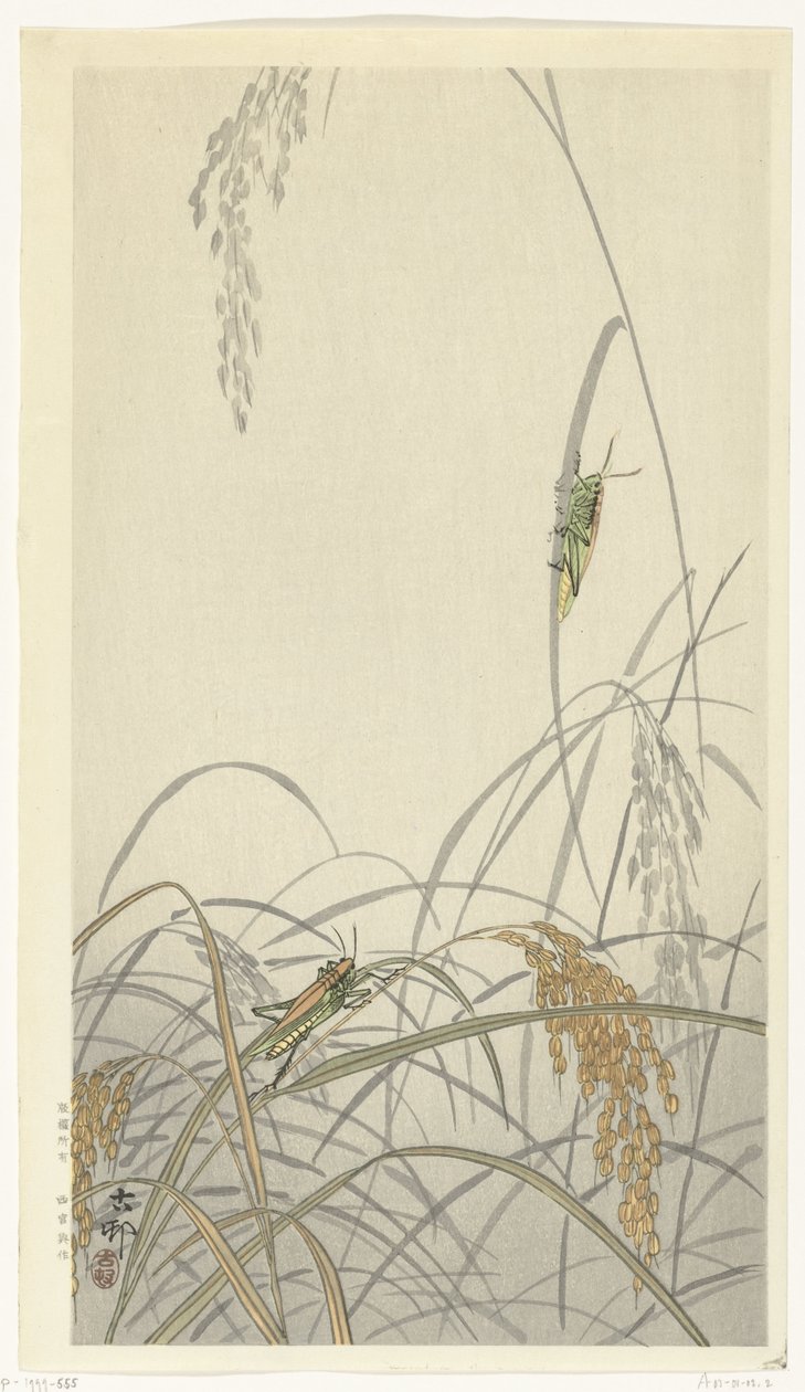 Szöcskék a rizsnövényeken alkotó: Ohara Koson