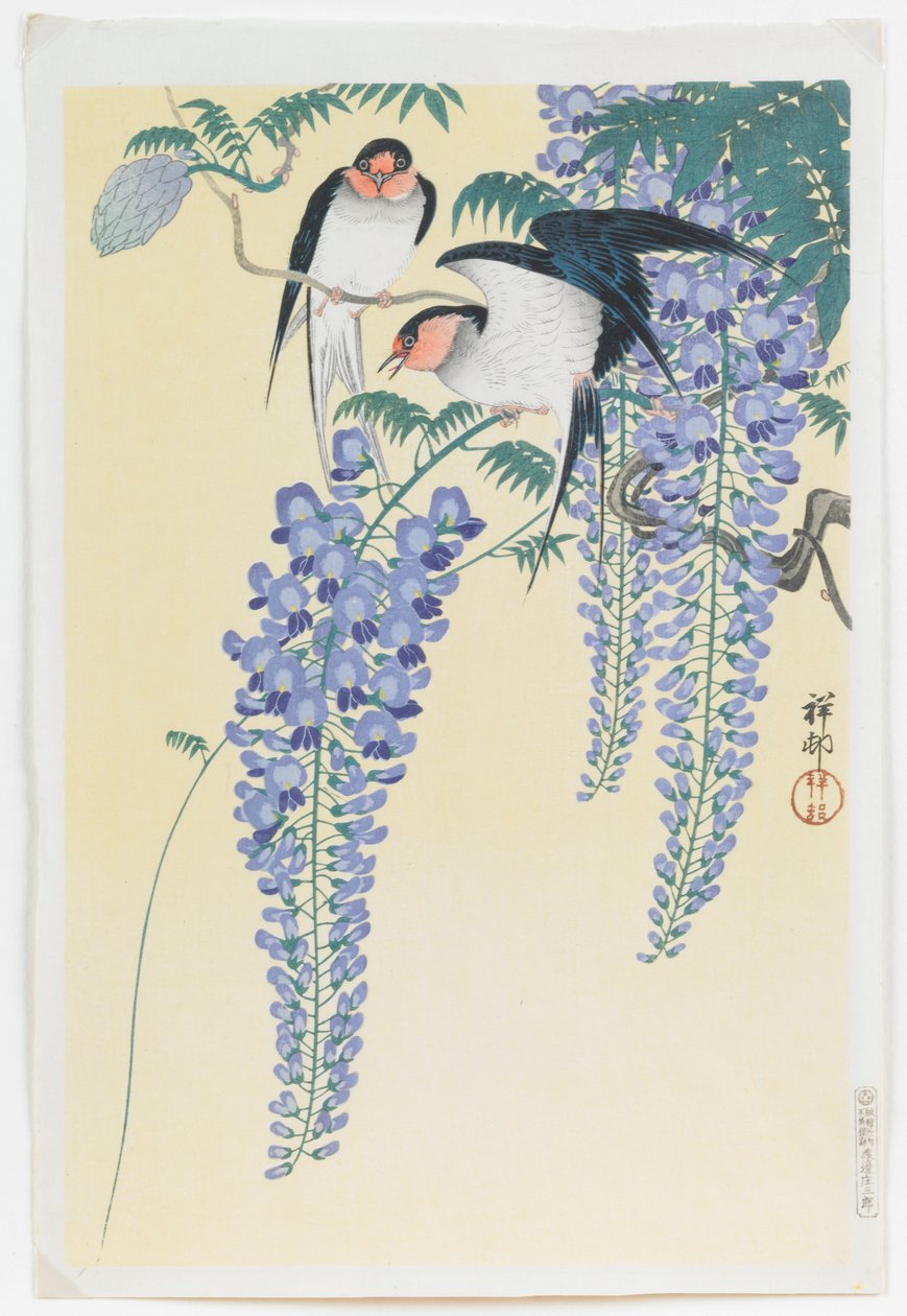 Fecskék és Wisteria alkotó: Ohara Koson