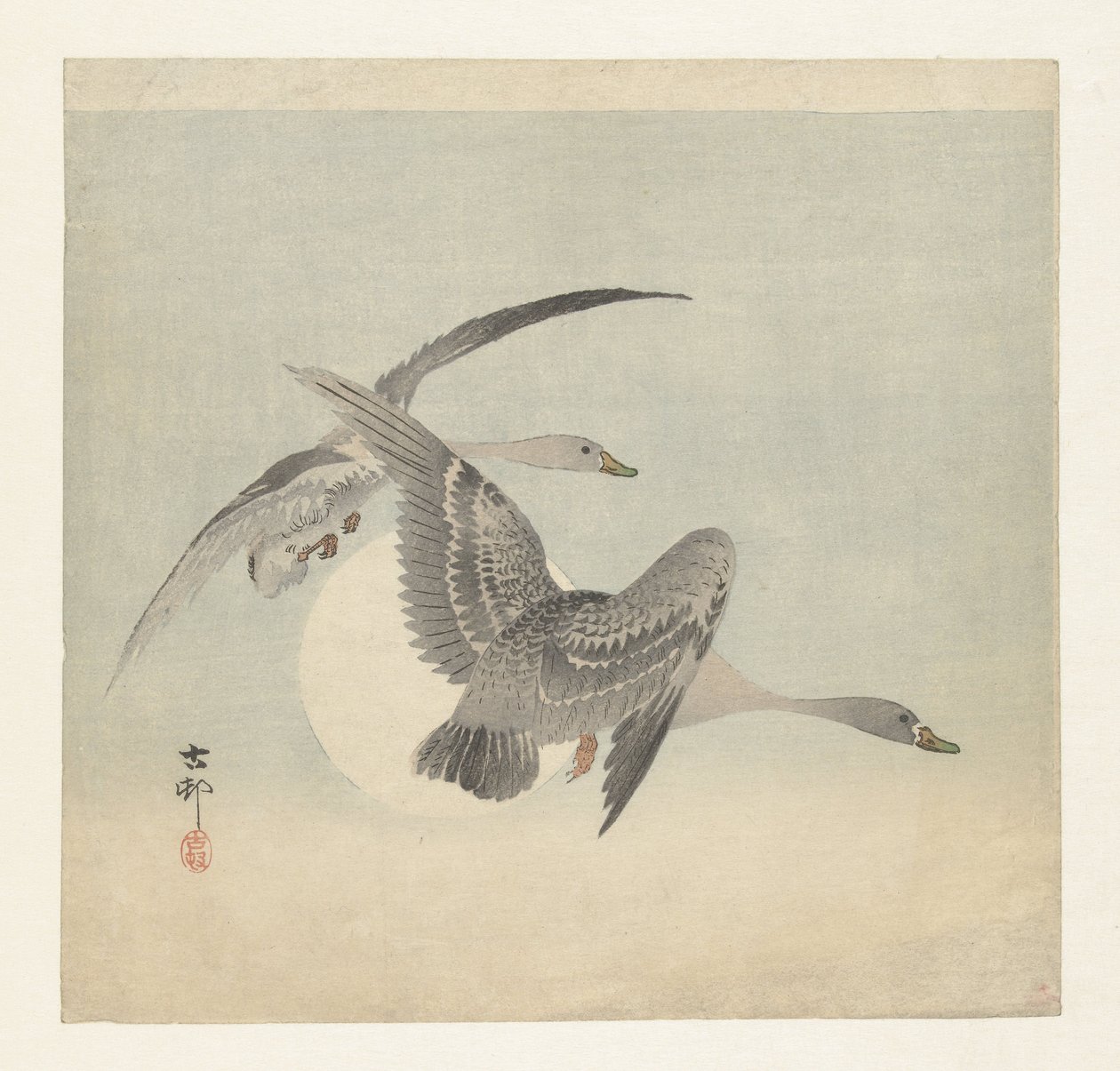 Két fehérhomlú lúd repül alkotó: Ohara Koson