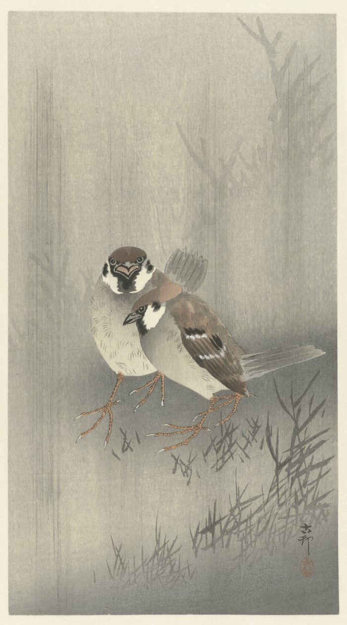 Két gyűrűs veréb az esőben alkotó: Ohara Koson
