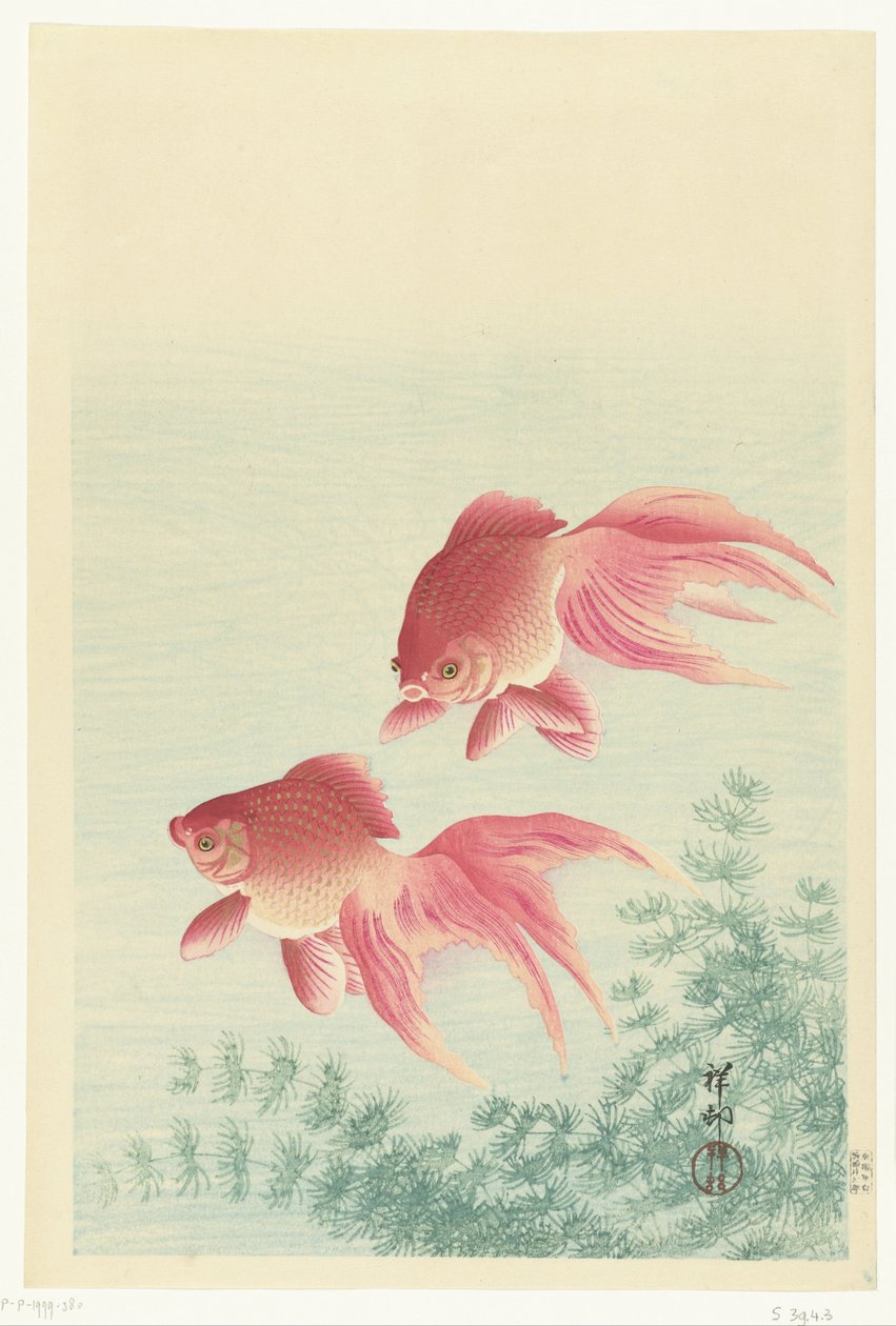 Két fátyolfarkú aranyhal alkotó: Ohara Koson