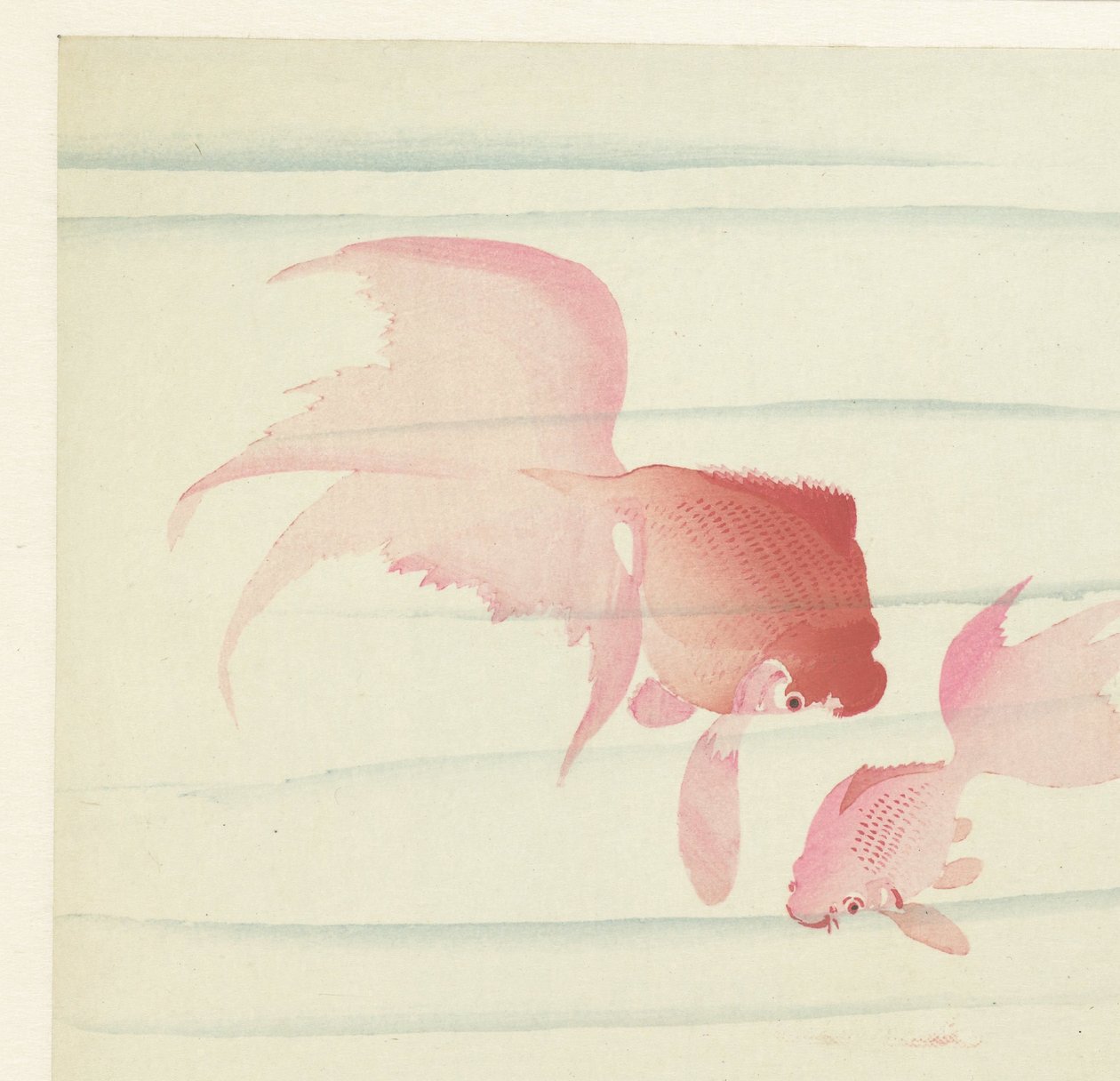 Két fátyolfarok alkotó: Ohara Koson