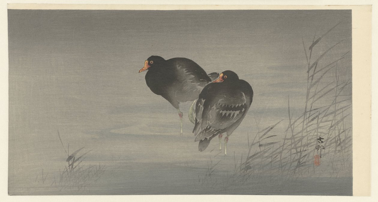 Két Moorhen alkotó: Ohara Koson