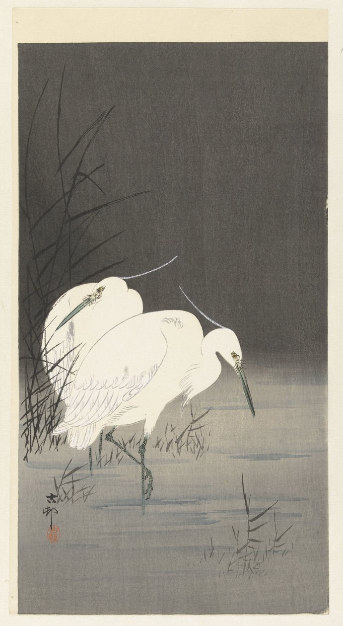 Két kócsag a nádasban alkotó: Ohara Koson