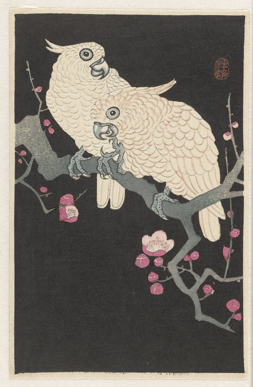 Két kakadu és szilvavirág alkotó: Ohara Koson