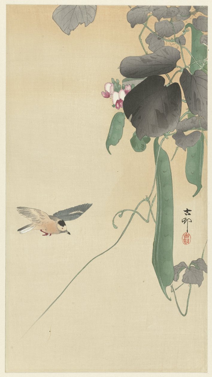 Madár virágzó bab növény alkotó: Ohara Koson