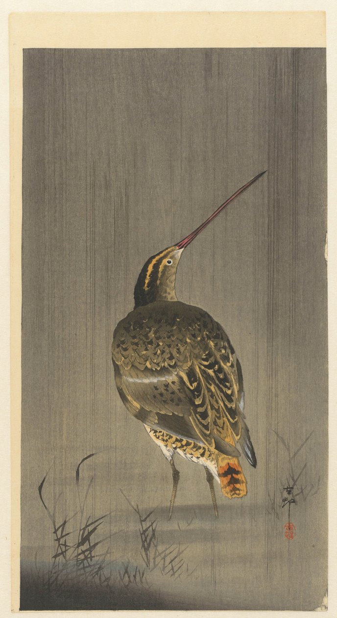 Szalonka az esőben alkotó: Ohara Koson