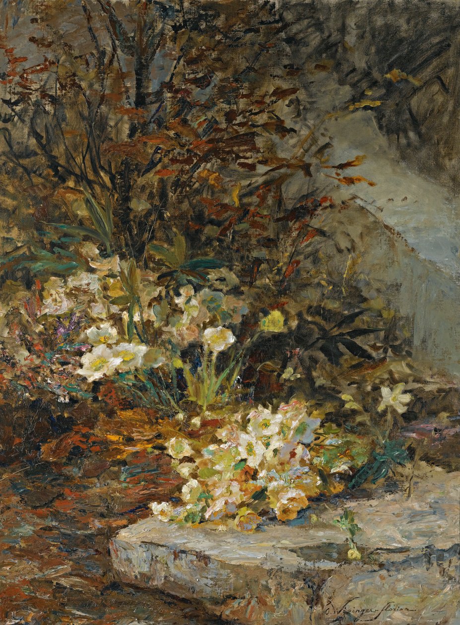 Hellebores alkotó: Olga Wisinger Florian