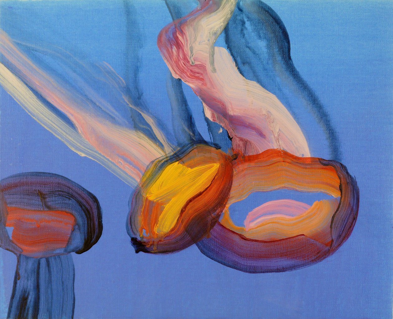Méduses 11, 2013 (akril, vászon) alkotó: Olivier Morel