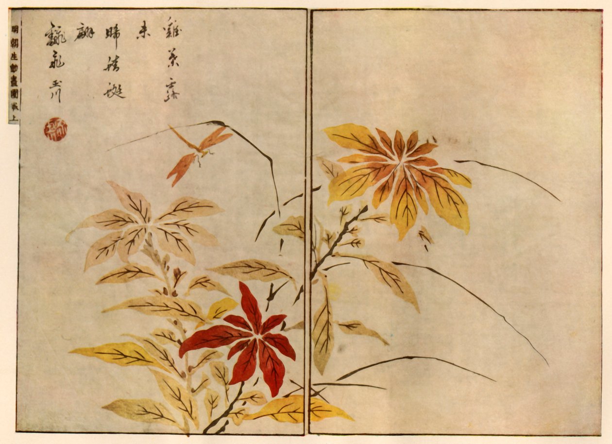 Szitakötő növényekkel, 1746, 1924. alkotó: Ooka Shunboku
