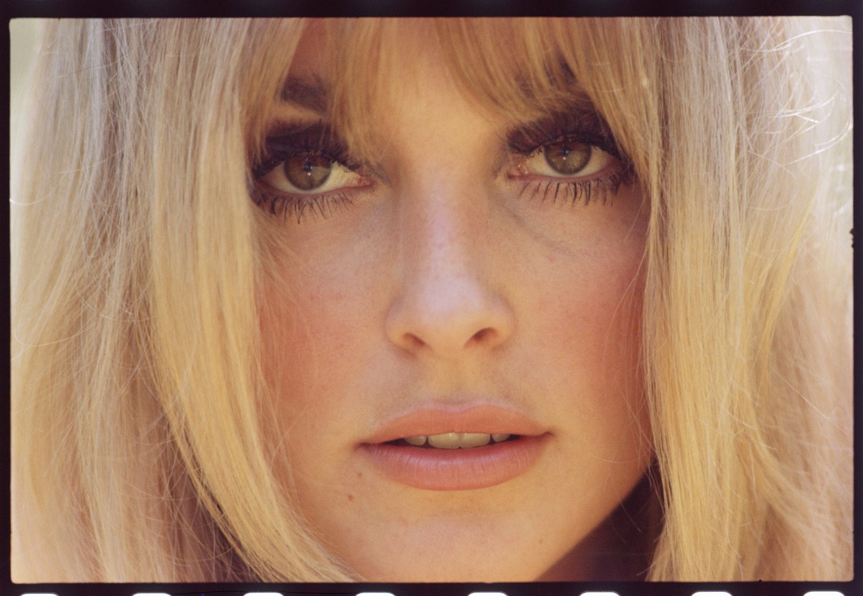 Sharon Tate alkotó: Orlando Suero