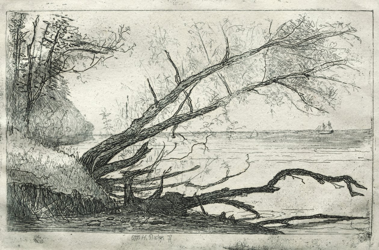 Old Sycamore, 1877. alkotó: Otto H. Bacher