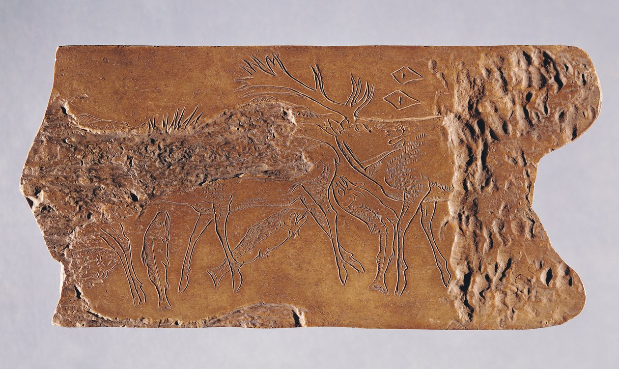 Szarvas és ugráló lazacokkal faragott rénszarvasszarv, Grotte de Lortet, Magdalenian, 15000-18000 BC (szarv) alkotó: Paleolithic