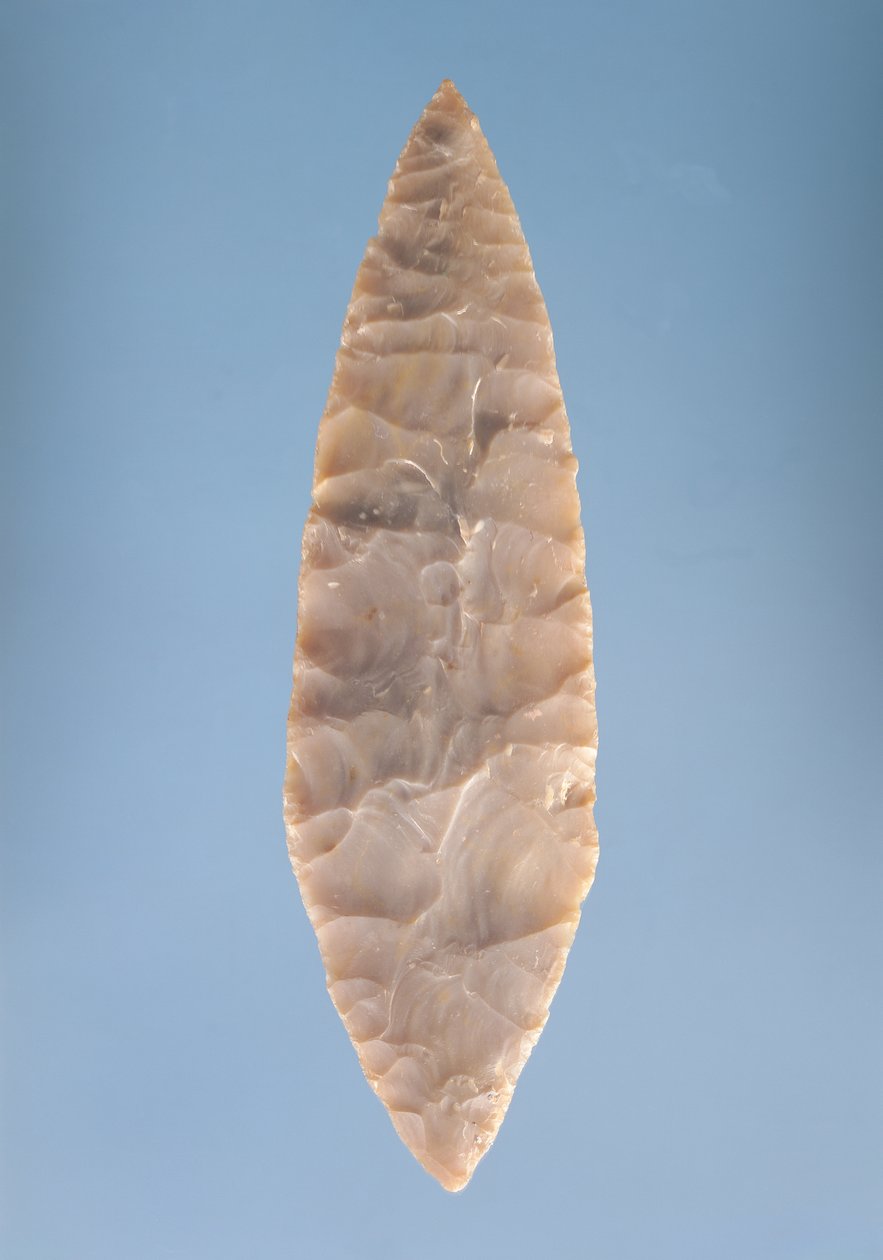 Solutrean „babérlevél” penge, amelyet Volguban találtak, ie 20000-15000 alkotó: Paleolithic