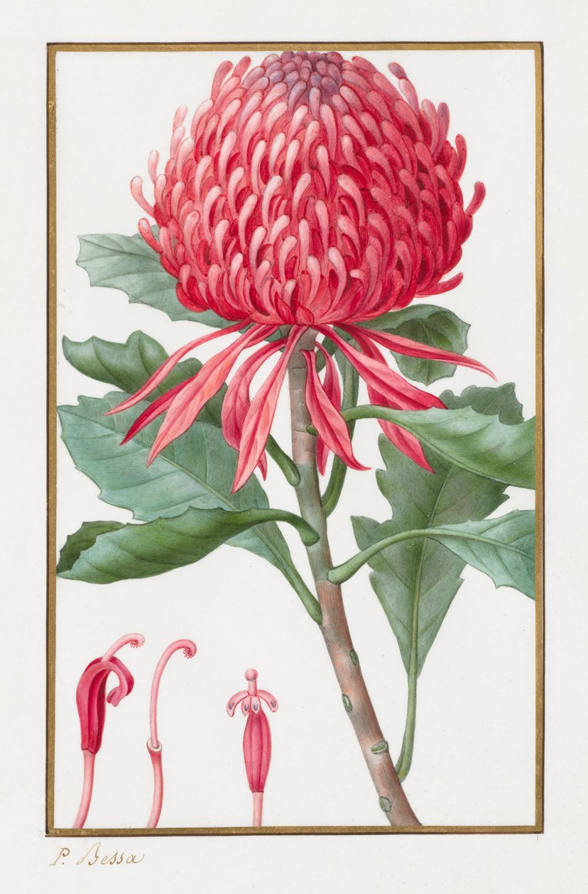 Cím nélkül, 1828-1835. alkotó: Pancrace Bessa