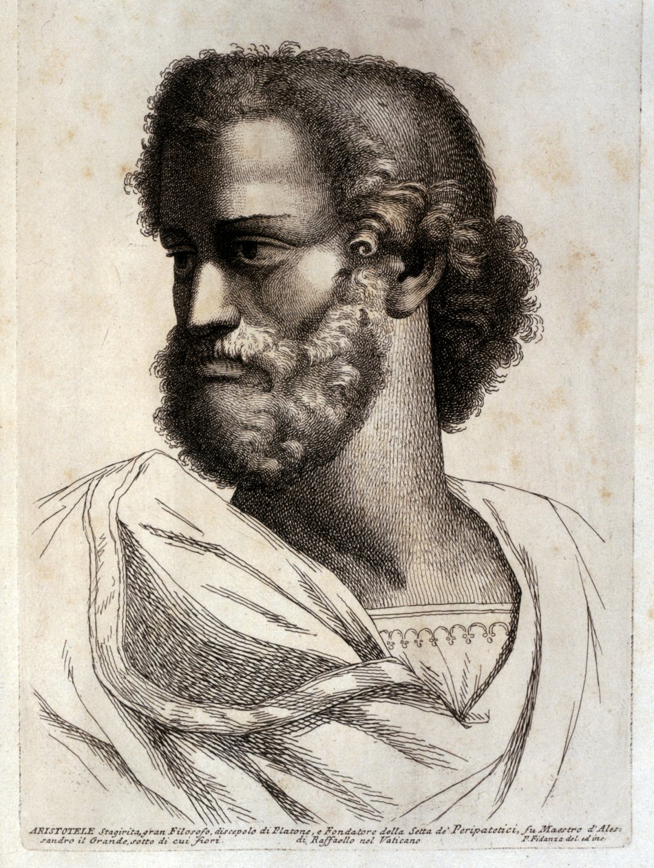ARISTOTLE alkotó: Paolo Fidanza