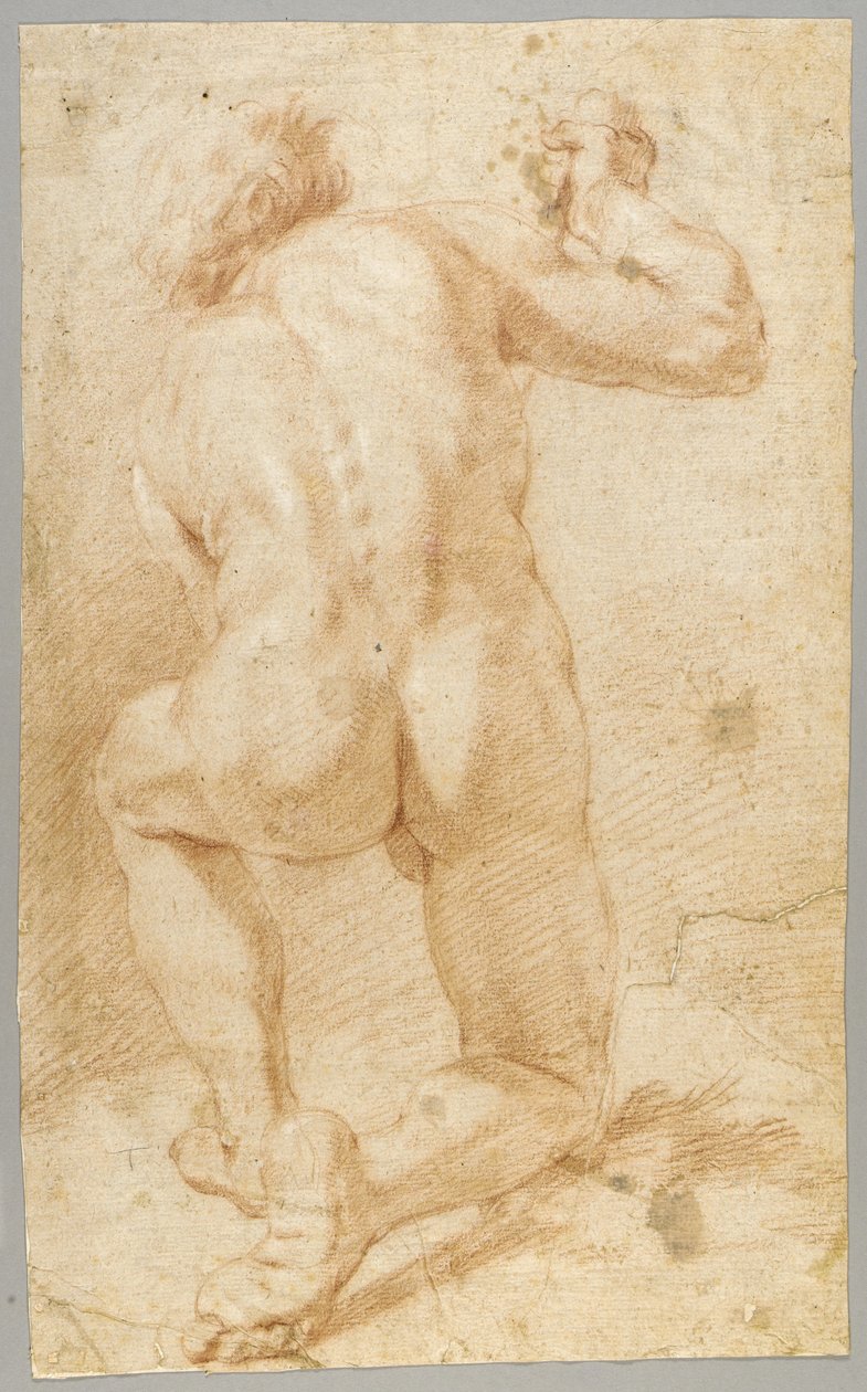 Rajzolás alkotó: Paolo de Matteis