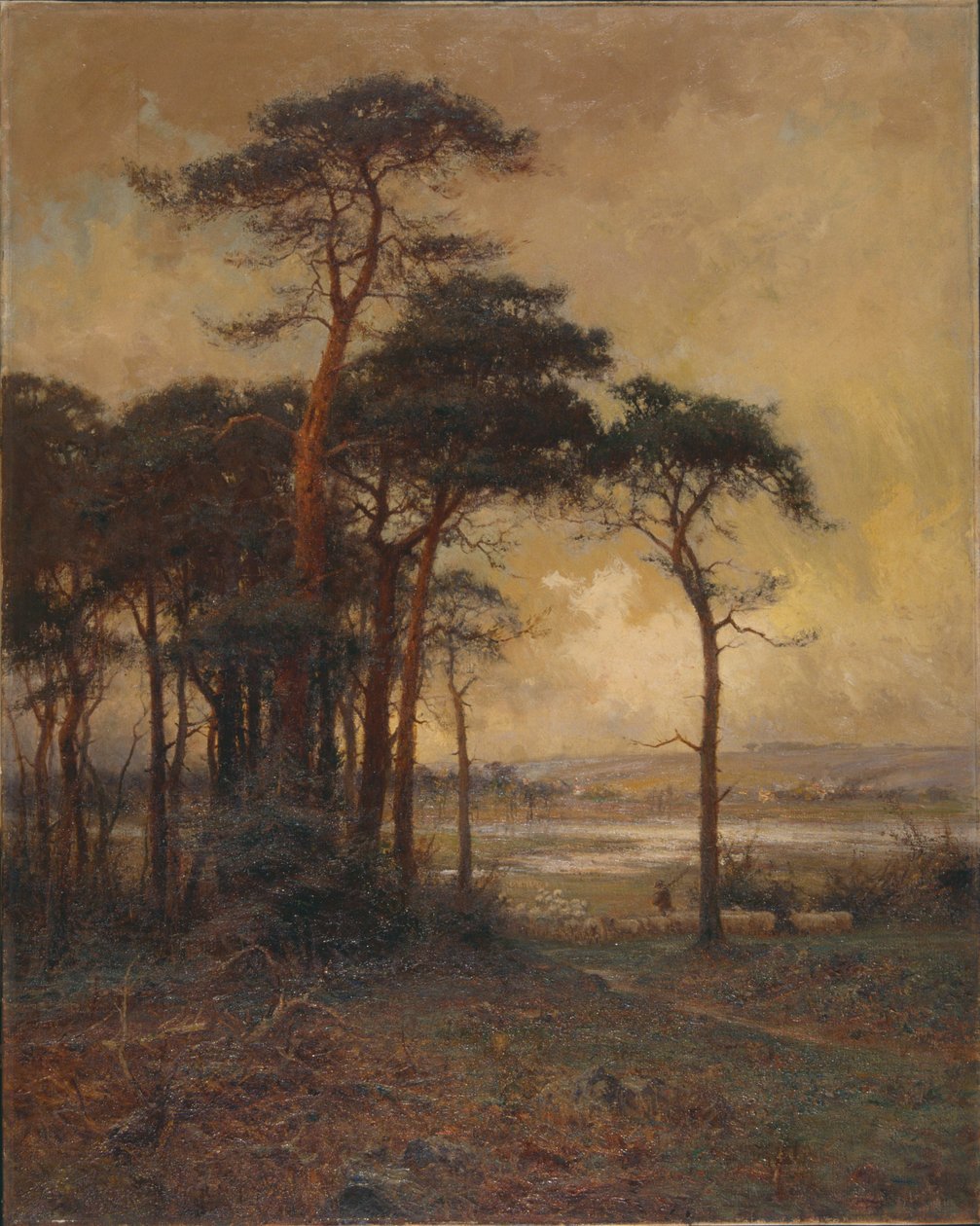 „Láptól láprétig”, 1879-1934 alkotó: Parker Hagarty