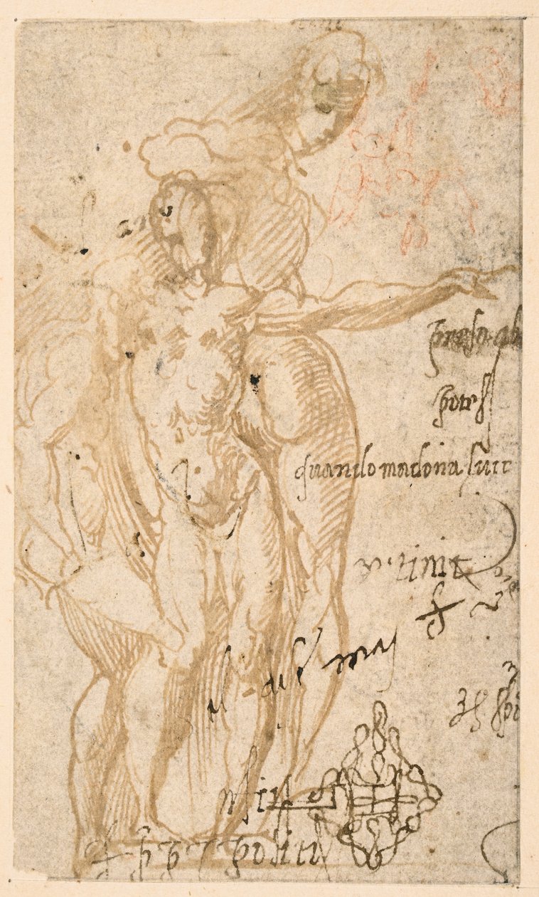 Három meztelen figura tanulmányozása (recto) alkotó: Parmigianino