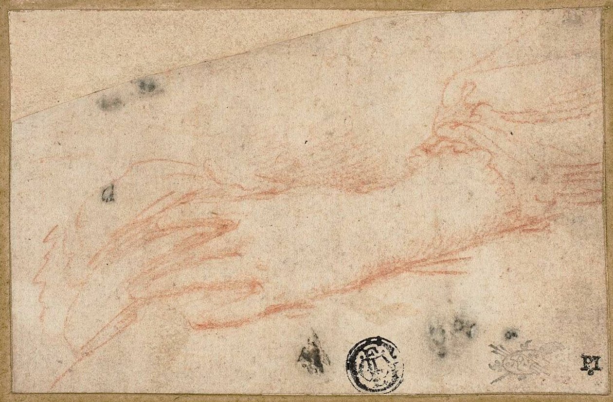 A bal kéz és csukló vázlata alkotó: Parmigianino