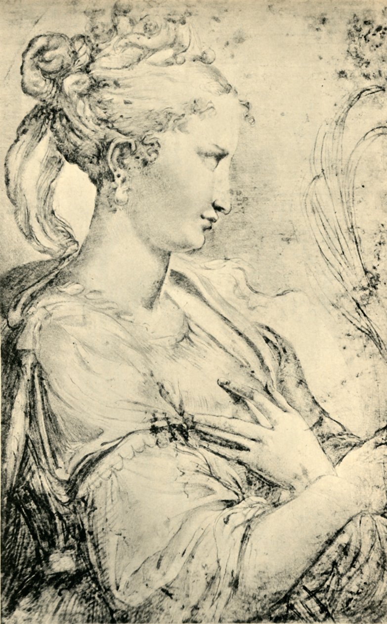 Szent Katalin tanulmánya, 1530-1540, 1943. alkotó: Parmigianino
