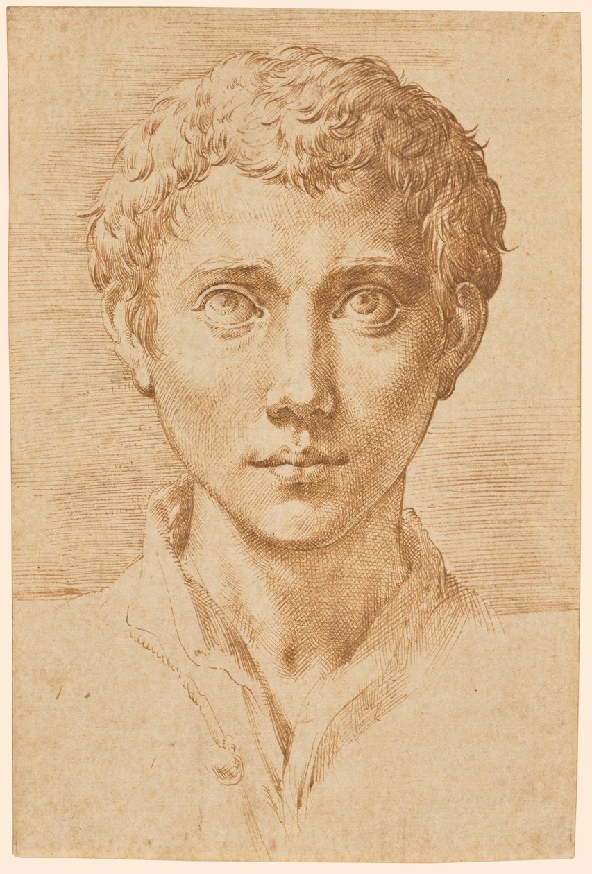 Egy fiatalember feje alkotó: Parmigianino