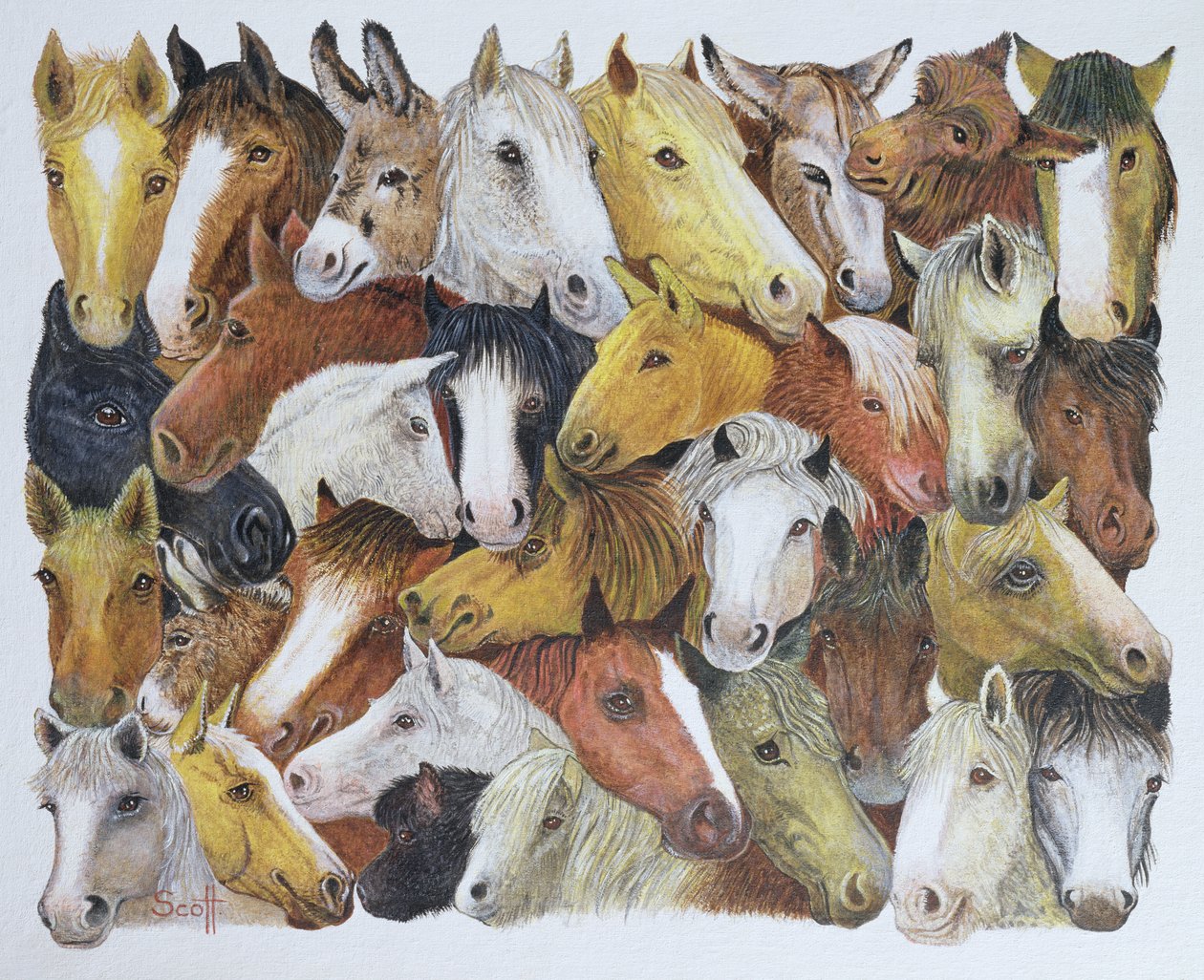 Horses Horses (olaj, vászon) alkotó: Pat Scott