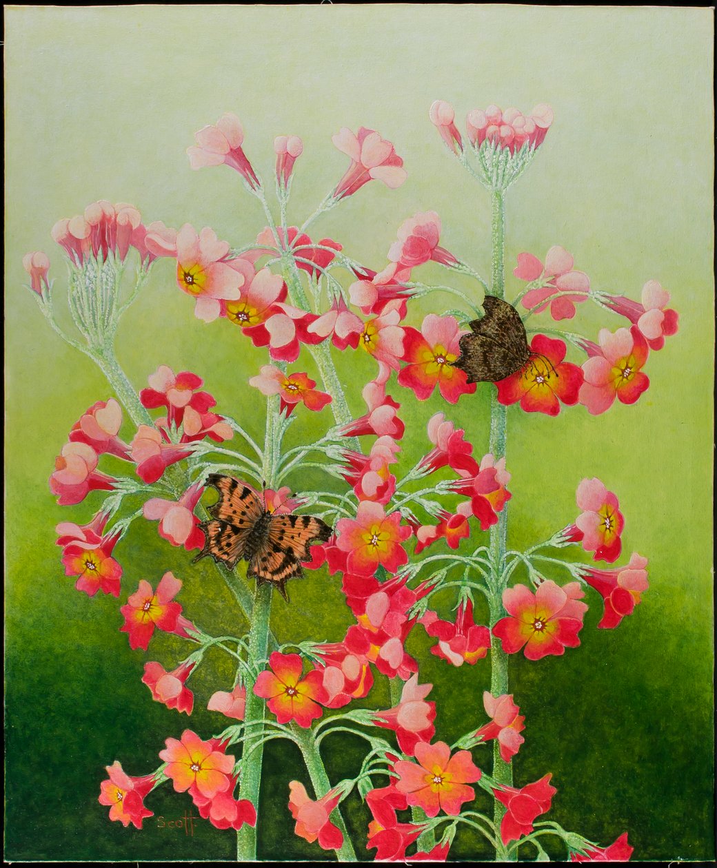 Rózsaszínben, 2011 (akril, calico) alkotó: Pat Scott