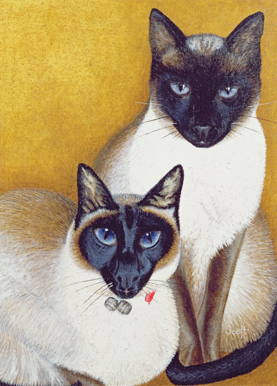 Mavis és Barnaby alkotó: Pat Scott