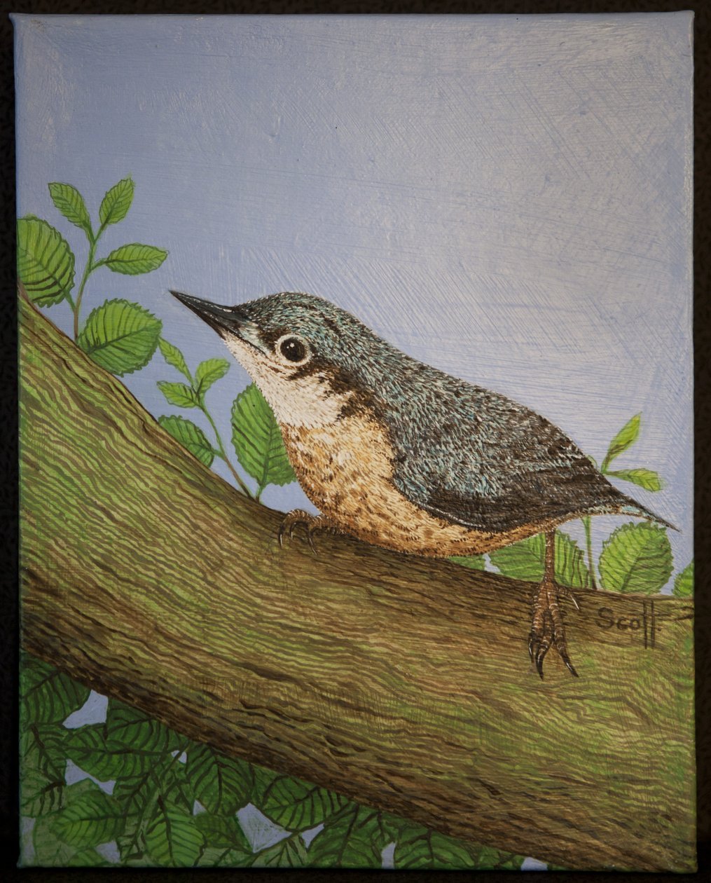 Nuthatch, 2016 alkotó: Pat Scott