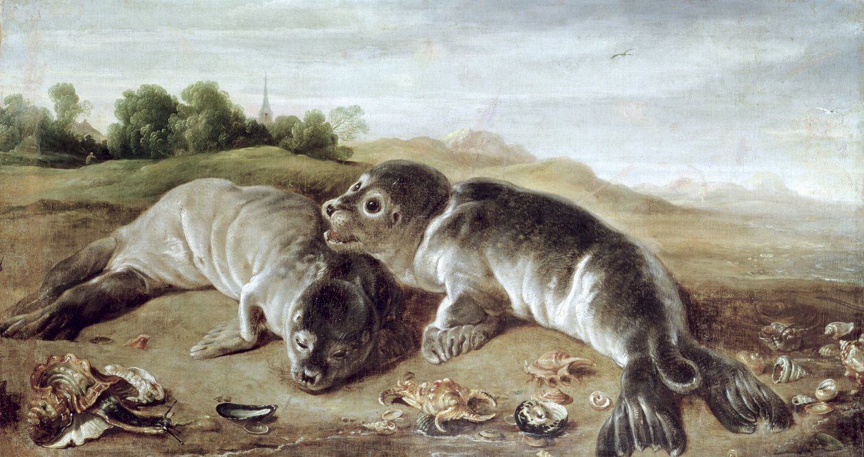 Két fiatal fóka a parton, 1650 körül alkotó: Paul De Vos
