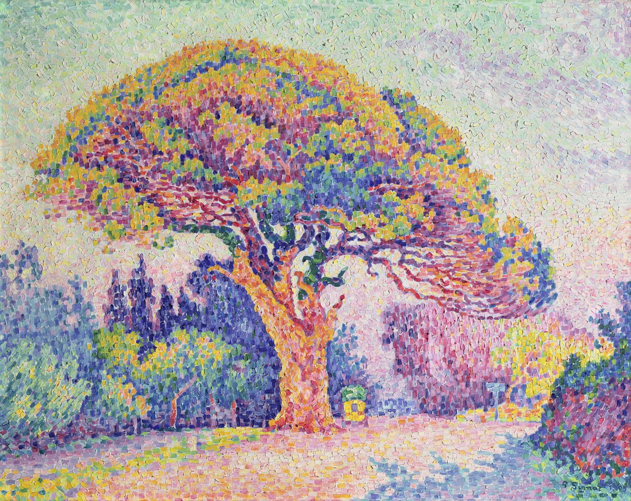 A fenyőfa St. Tropezben, 1909 alkotó: Paul Signac