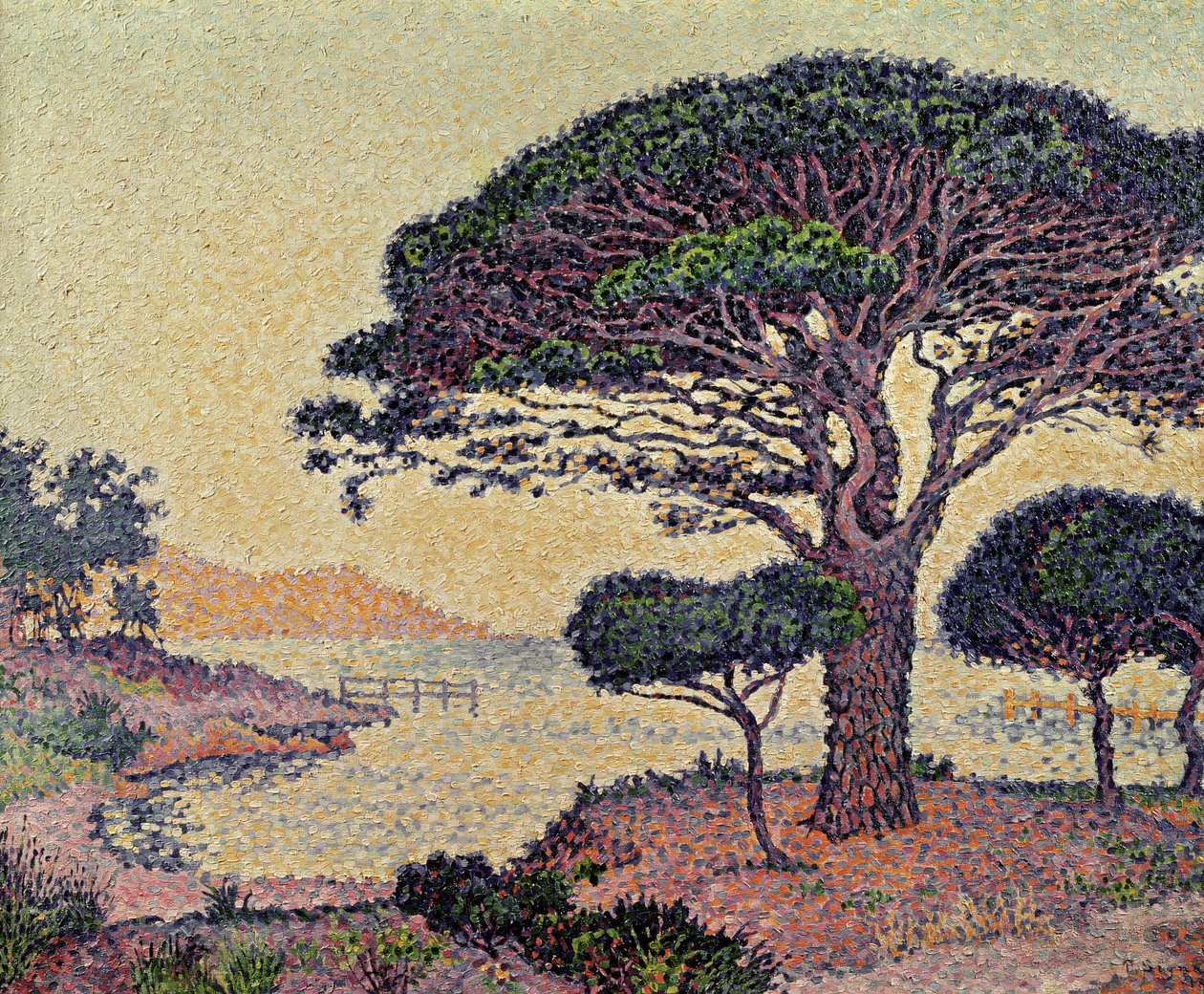 Esernyőfenyők Caroubiersben, 1898 alkotó: Paul Signac