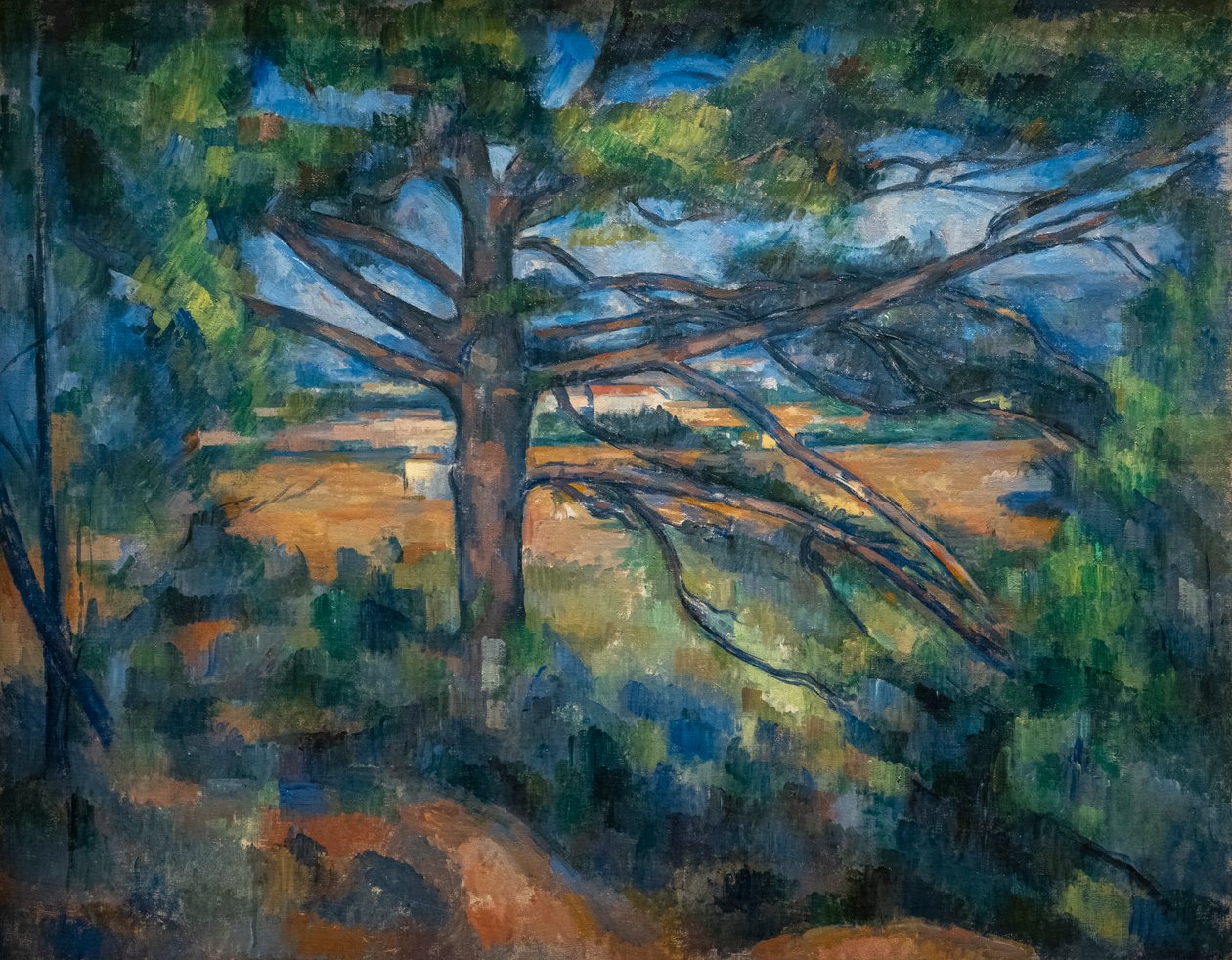 Great Pine Aix közelében alkotó: Paul Cézanne