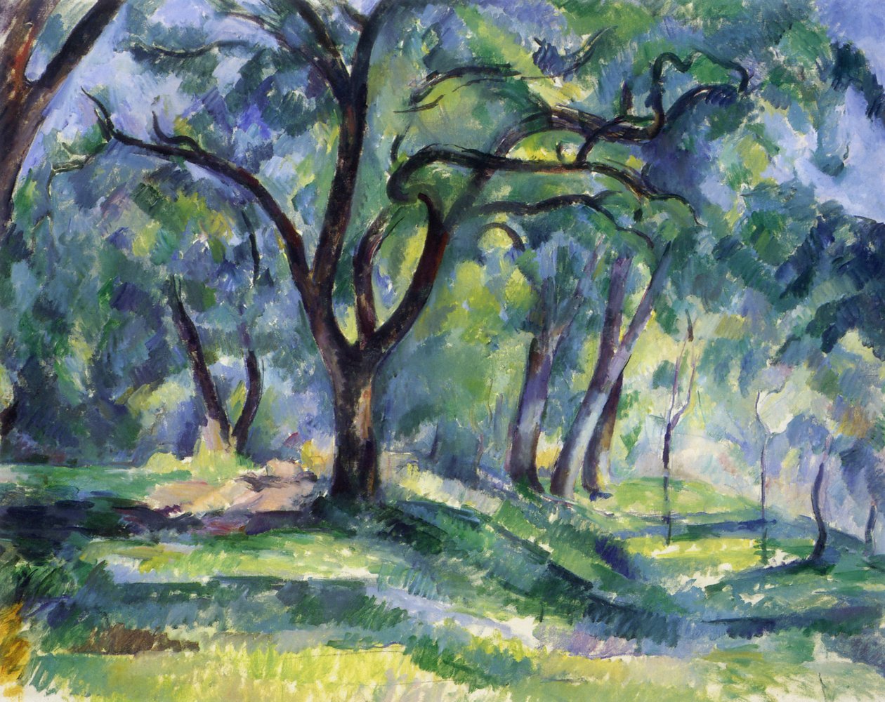 Az erdő alkotó: Paul Cézanne