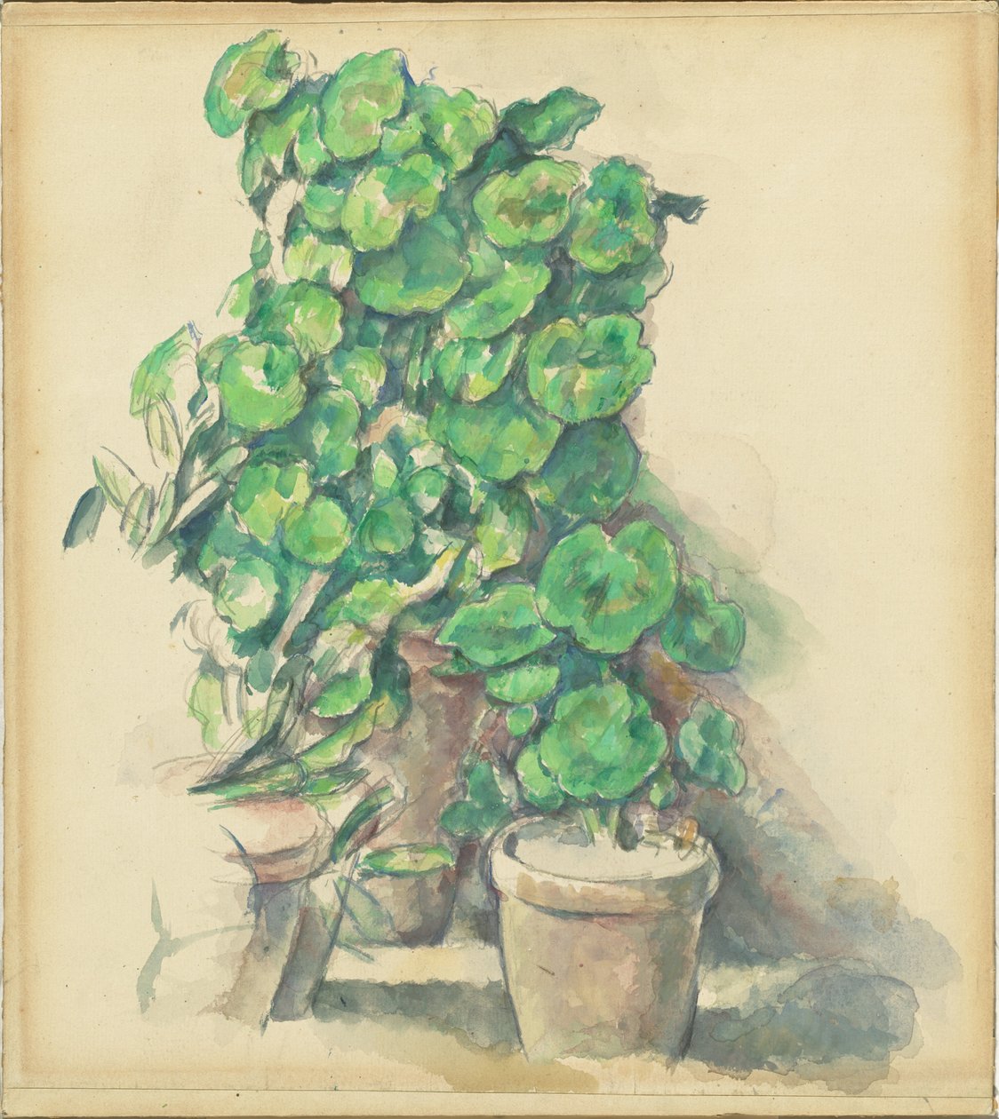Muskátlik alkotó: Paul Cézanne