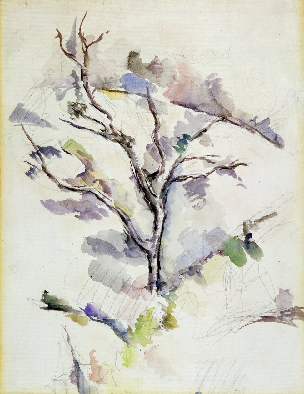 A tölgy alkotó: Paul Cézanne