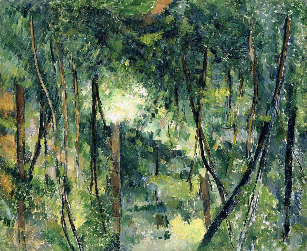 Aljnövényzet, 1885 körül alkotó: Paul Cézanne
