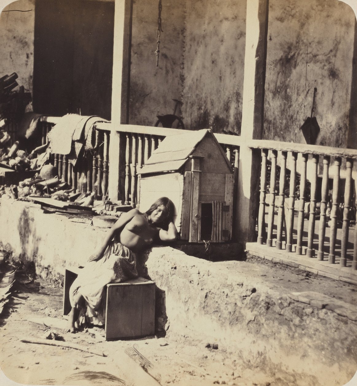 Garvel-i kutya (Martinique),1870-es évek (fénykép) alkotó: Paul Emile Miot