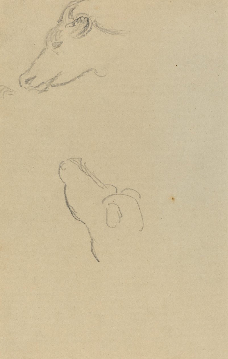 Egy tehén feje [recto] alkotó: Paul Gauguin