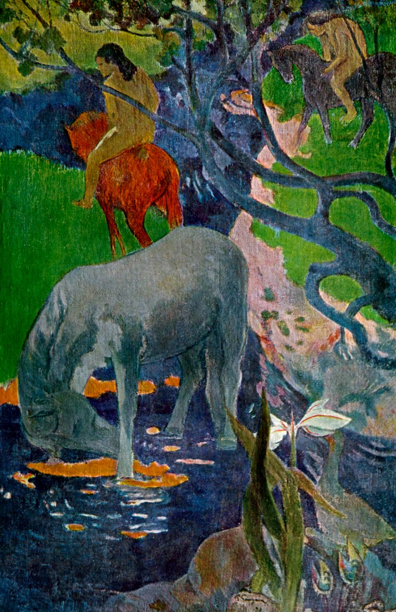 A fehér ló, 1898 1939. alkotó: Paul Gauguin