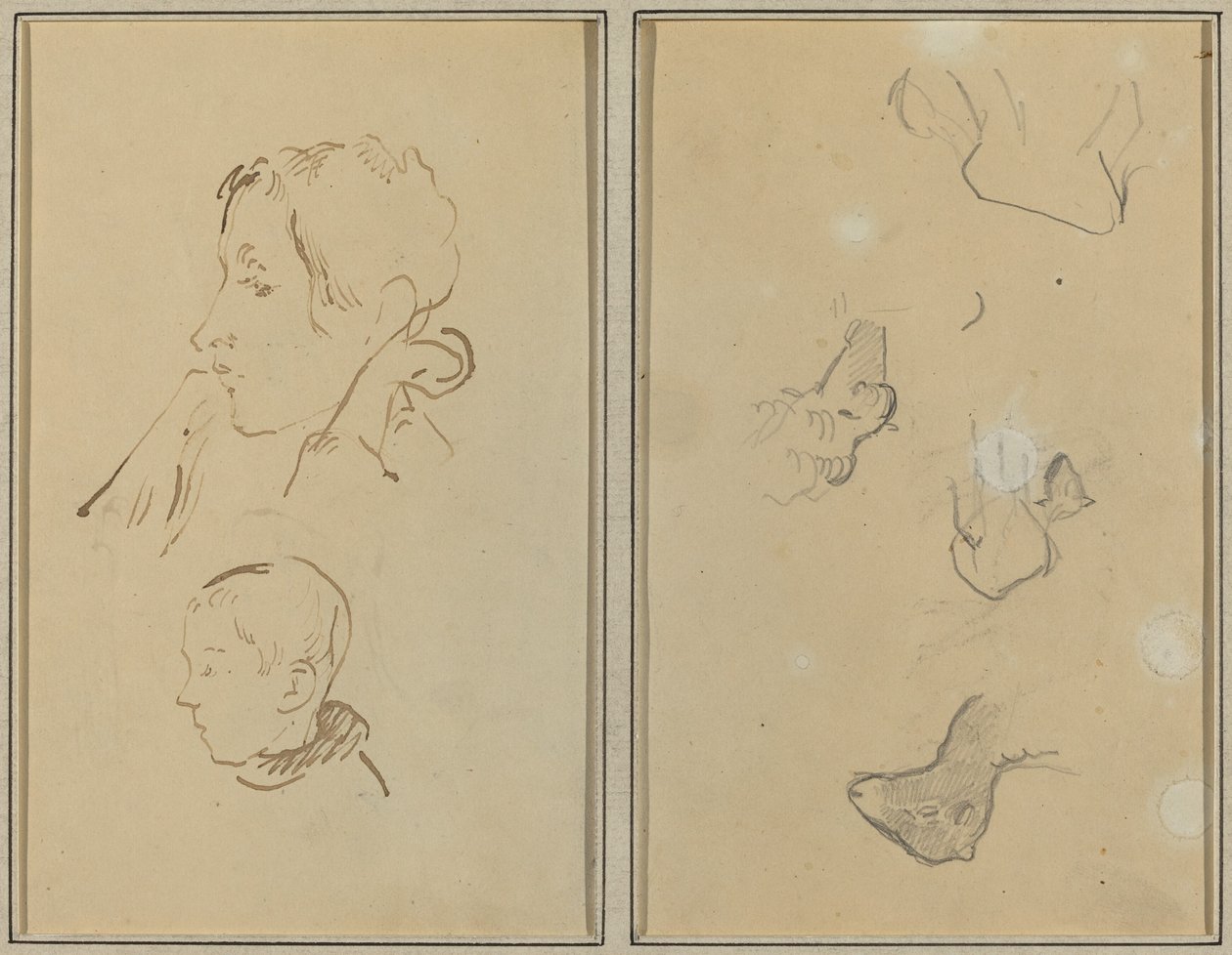 Két fej; Birkák tanulmányozása [recto] alkotó: Paul Gauguin