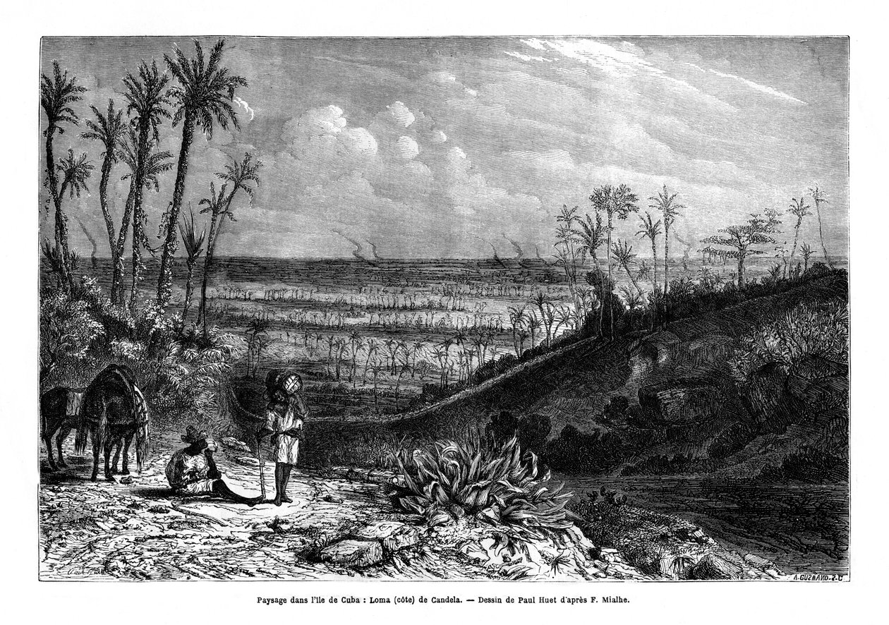 Táj Kuba szigetén, 1859 alkotó: Paul Huet