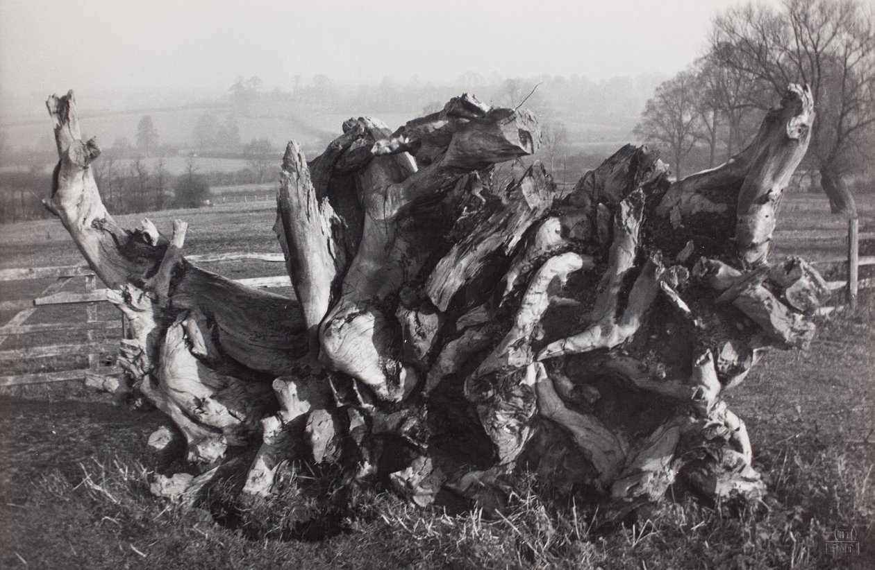 "Laocoon", Carswall